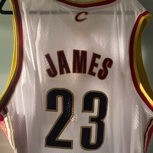 Vintage Cleveland Lebron James jersey